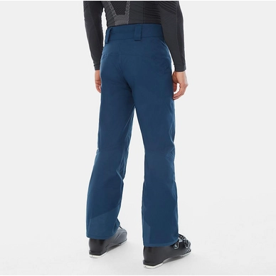presena blue wing teal4