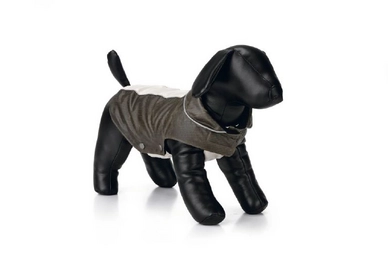 Honden Regenjas Beeztees Protective Groen