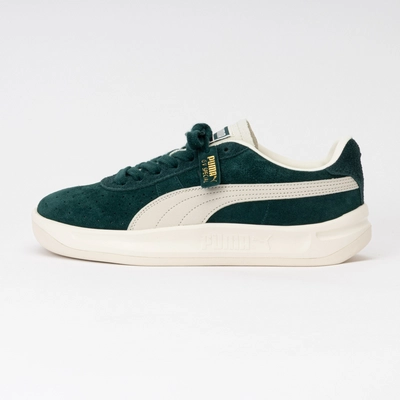 Baskets PUMA Homme GV Special Suede Dark Myrtle Warm White