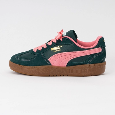 PUMA Women Palermo Moda CF Dark Myrtle Magic Rose
