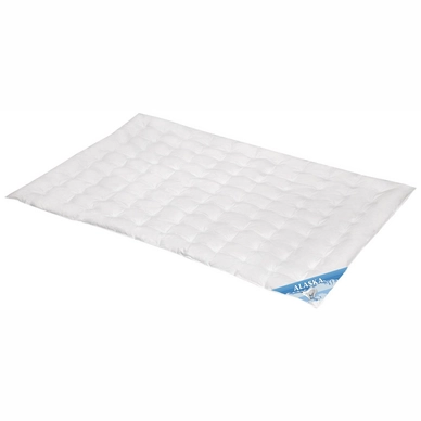 Spessarttraum Decke Alaska Sommer 60% Daunen