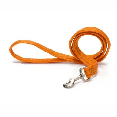 Hondenriem Beeztees Aventura Oranje