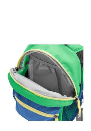 10---A65426_E0278_9-e153-little-scout-10-lizard