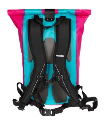 6---ORTLIEB-VELOCITY-LITE-CYBER-R402019-BACK-_no-bg