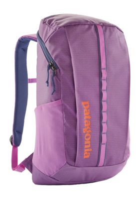 Rugzak Patagonia Unisex Black Hole Pack 25L Brisk Purple