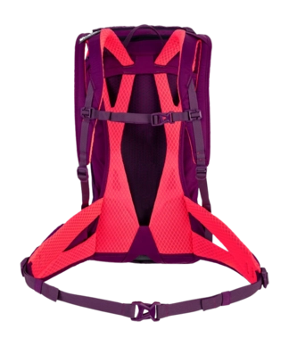 Salewa_Alp_Trainer_20_Ws_Rucksack_(dark-purple)_D-1262-6870_Bild_2-_no-bg