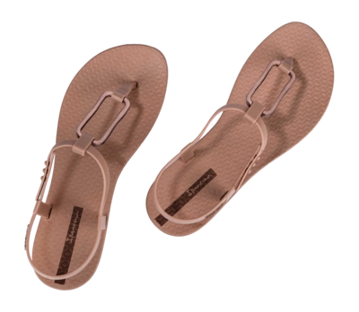 4---IP 83768_BN543_13_2026-_no-bg