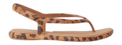 2---CJ8454_WATER_WILLOW_MAYA_LEOPARD_RS_GB-_no-bg