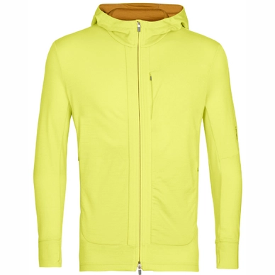 Fleecejacke Icebreaker Quantum III LS Zip Hoodie Herren Shine Clove