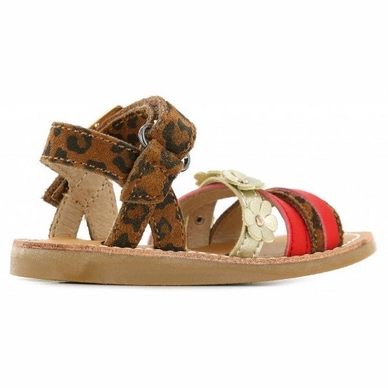 shoesme-luipaardprint-sandaal-met-bloemetjes-7_60_1