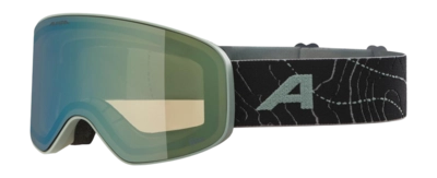 Skibril Alpina Kids Fernie Q-Lite Willow/Green Matt