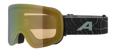 Skibril Alpina Unisex Penken Q-Lite Willow/Green Matt Fogstop