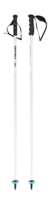 Skistok HEAD Unisex Worldcup SL White Paar