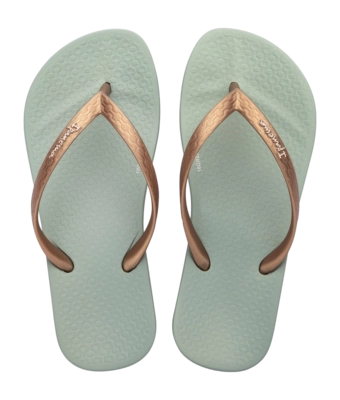 2---IP 83078_BP961_00_2026-_no-bg