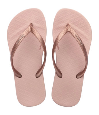 2---IP 83078_BP960_00_2026-_no-bg