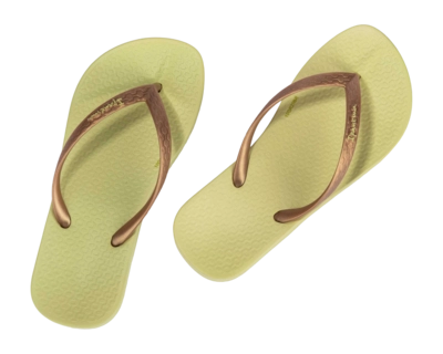 3---IP 83078_BP963_12_2026-_no-bg