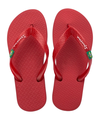 2---IP 80416_BO498_00_2026-_no-bg