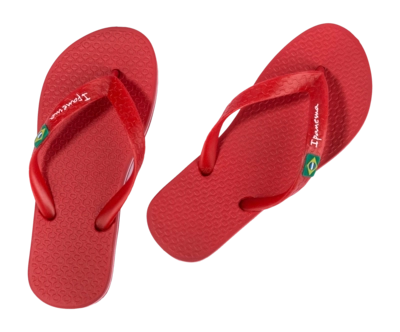 3---IP 80416_BO498_11_2026-_no-bg