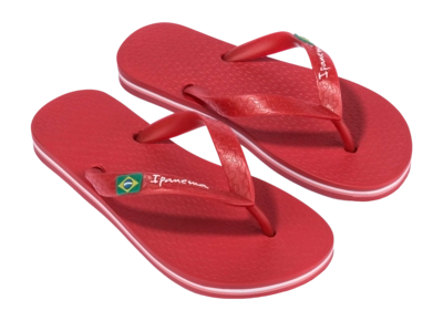 5---IP 80416_BO498_10_2026-_no-bg