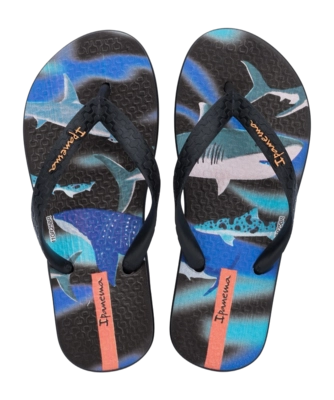 2---IP 83755_BL966_00_2026-_no-bg