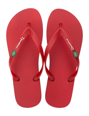 2---IP 80415_BO498_00_2026-_no-bg