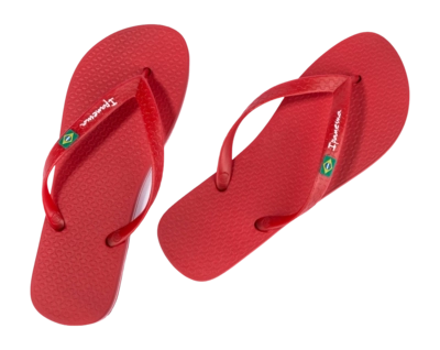 4---IP 80415_BO498_11_2026-_no-bg