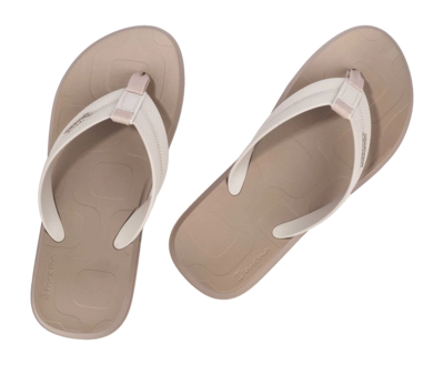 3---IP 83629_BO988_12_2026-_no-bg