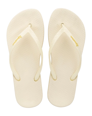 2---IP 82591_BO331_00_2026-_no-bg