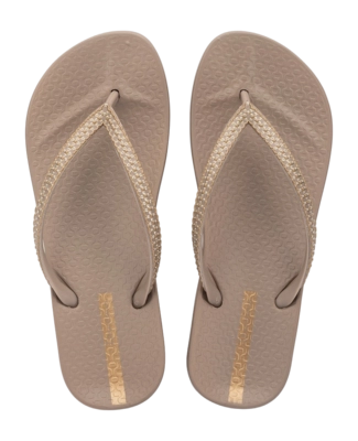 2---IP 83749_BP362_00_2026-_no-bg