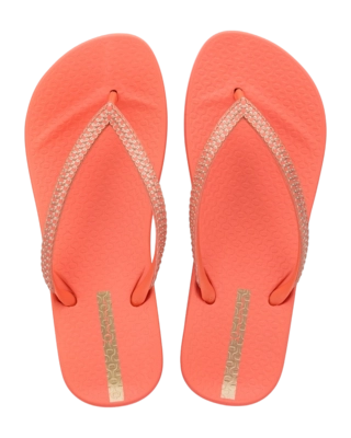 2---IP 83749_BP360_00_2026-_no-bg