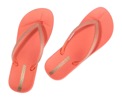 3---IP 83749_BP360_12_2026-_no-bg