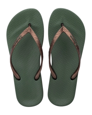 2---IP 81030_BO356_00_2026-_no-bg