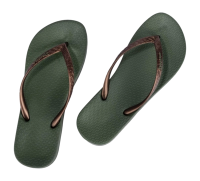 3---IP 81030_BO356_12_2026-_no-bg