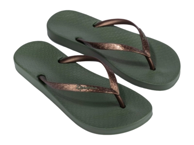 4---IP 81030_BO356_10_2026-_no-bg