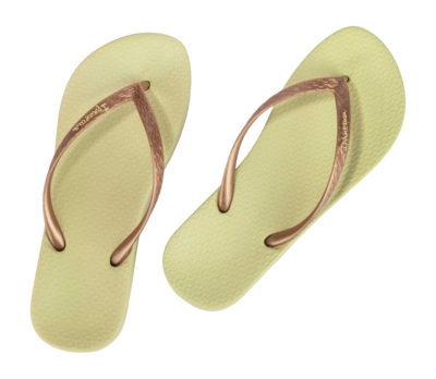 3---IP 81030_BO361_12_2026-_no-bg