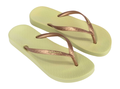 4---IP 81030_BO361_10_2026-_no-bg