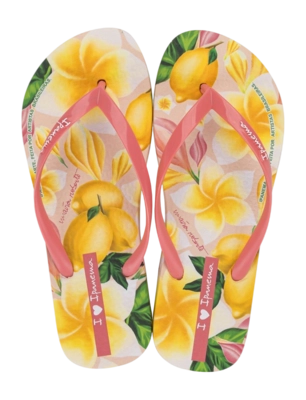 2---IP 27357_BN165_00_2026-_no-bg