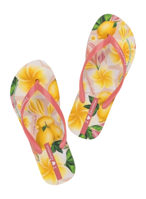 4---IP 27357_BN165_12_2026-_no-bg