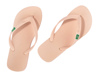 4---IP 80408_BO521_11_2026-_no-bg