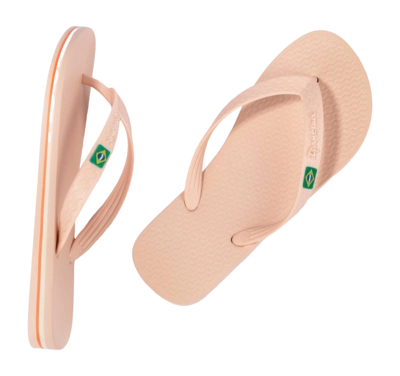 5---IP 80408_BO521_12_2026-_no-bg