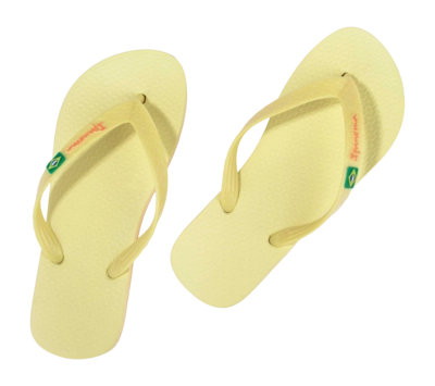 4---IP 80408_BO501_11_2026-_no-bg