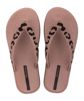 2---IP 83772_BP081_00_2026-_no-bg