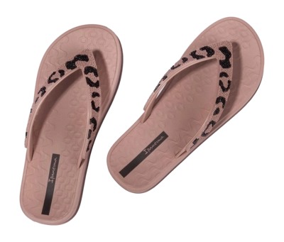 3---IP 83772_BP081_11_2026-_no-bg