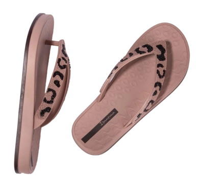 4---IP 83772_BP081_12_2026-_no-bg