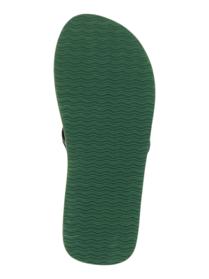 5---51761000_855_back