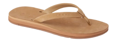2---CJ8309_OJAI_CLASSIC_SLIM_STARFISH_MAIN_GB-_no-bg