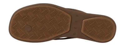 5---CJ8645_WATER_WILLOW_3PT_CHOCOLATE_O_SHADOW-_no-bg