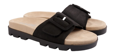 2---1-sunnys_no81_6311-90-_no-bg