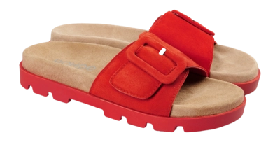 2---1-sunnys_no81_6311-41-_no-bg