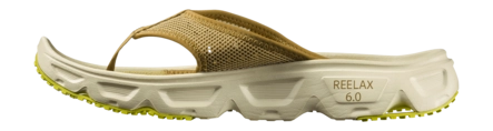 2---1aa42137-PNG-2000px-max-72dpi-_no-bg